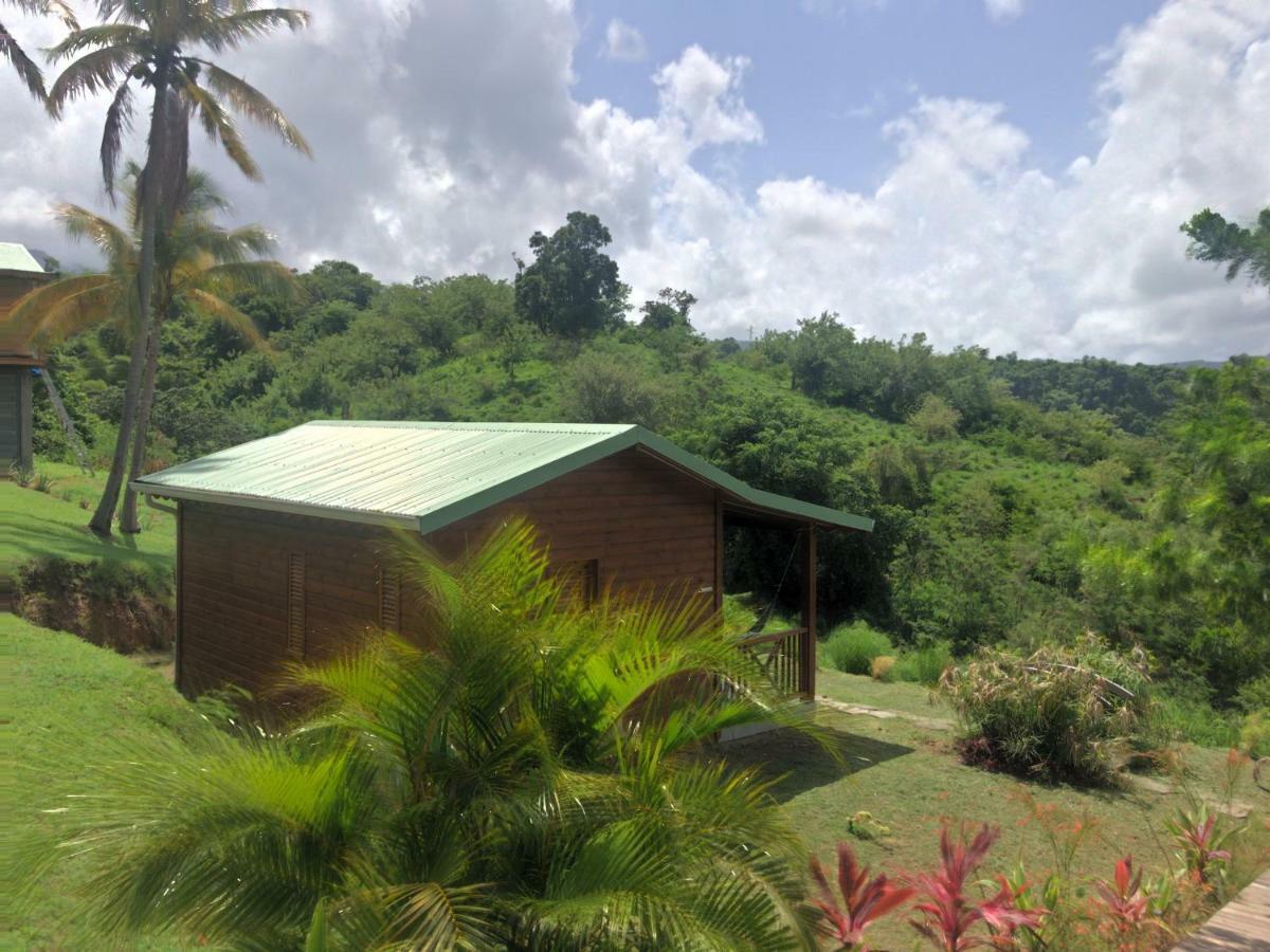 Residence Paradis Tropical Basse-Terre Exterior photo